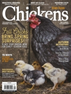 Chickens September 01, 2021 Issue Cover