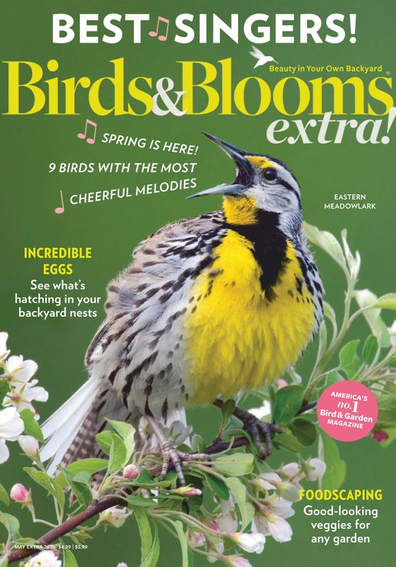 Birds-and-Blooms-Extra May 01, 2020 Issue Cover