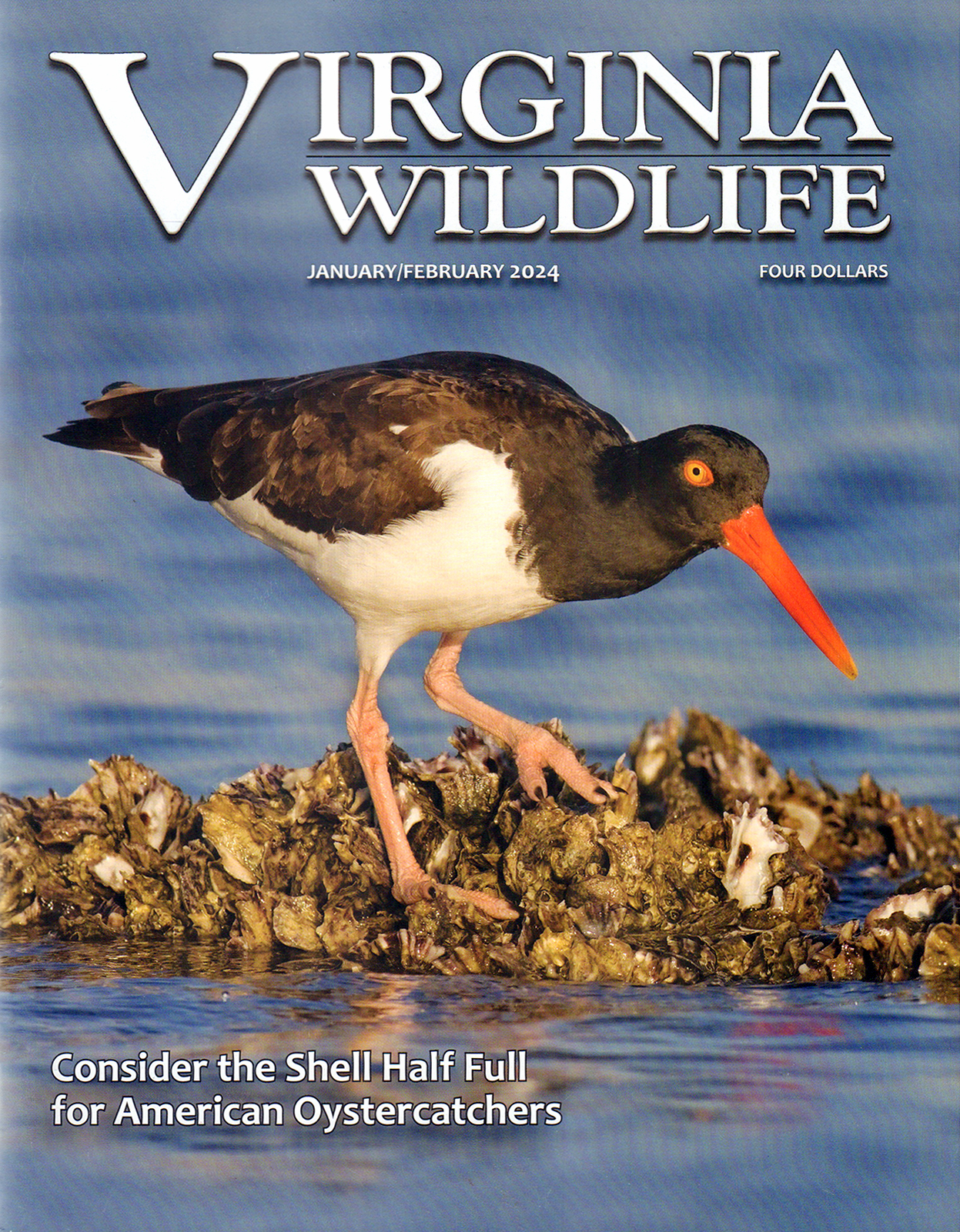Virginia-Wildlife January 01, 2024 Issue Cover