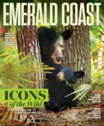 Emerald-Coast June 01, 2026 Issue Cover