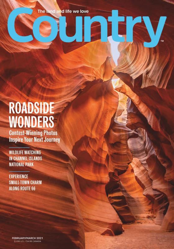 Country February 01, 2021 Issue Cover