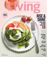 Martha-Stewart-Living May 01, 2017 Issue Cover