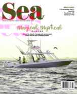sea-magazine March 01, 2018 Issue Cover