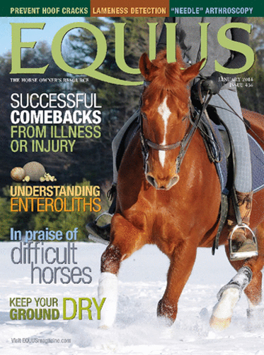 Equus January 01, 2014 Issue Cover