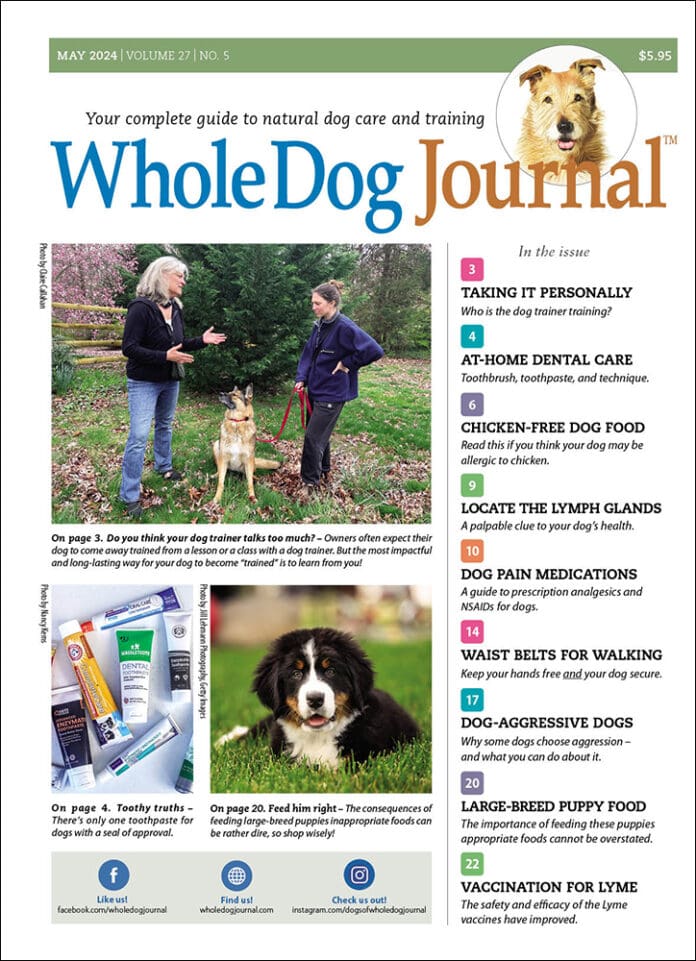 Whole-Dog-Journal May 01, 2024 Issue Cover