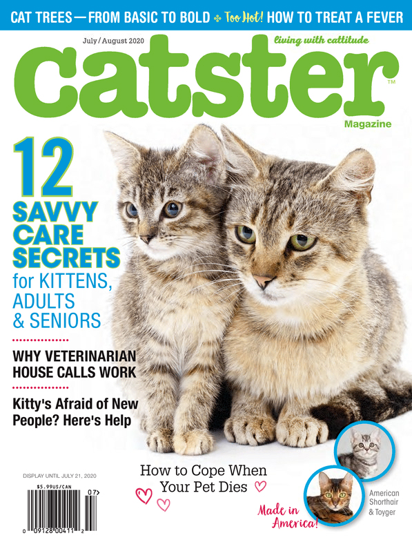 Catster July 01, 2020 Issue Cover