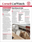 Catwatch August 01, 2026 Issue Cover