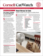Catwatch August 01, 2026 Issue Cover