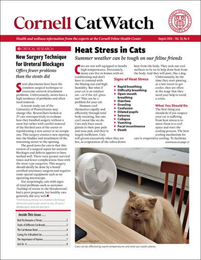 Catwatch August 01, 2026 Issue Cover