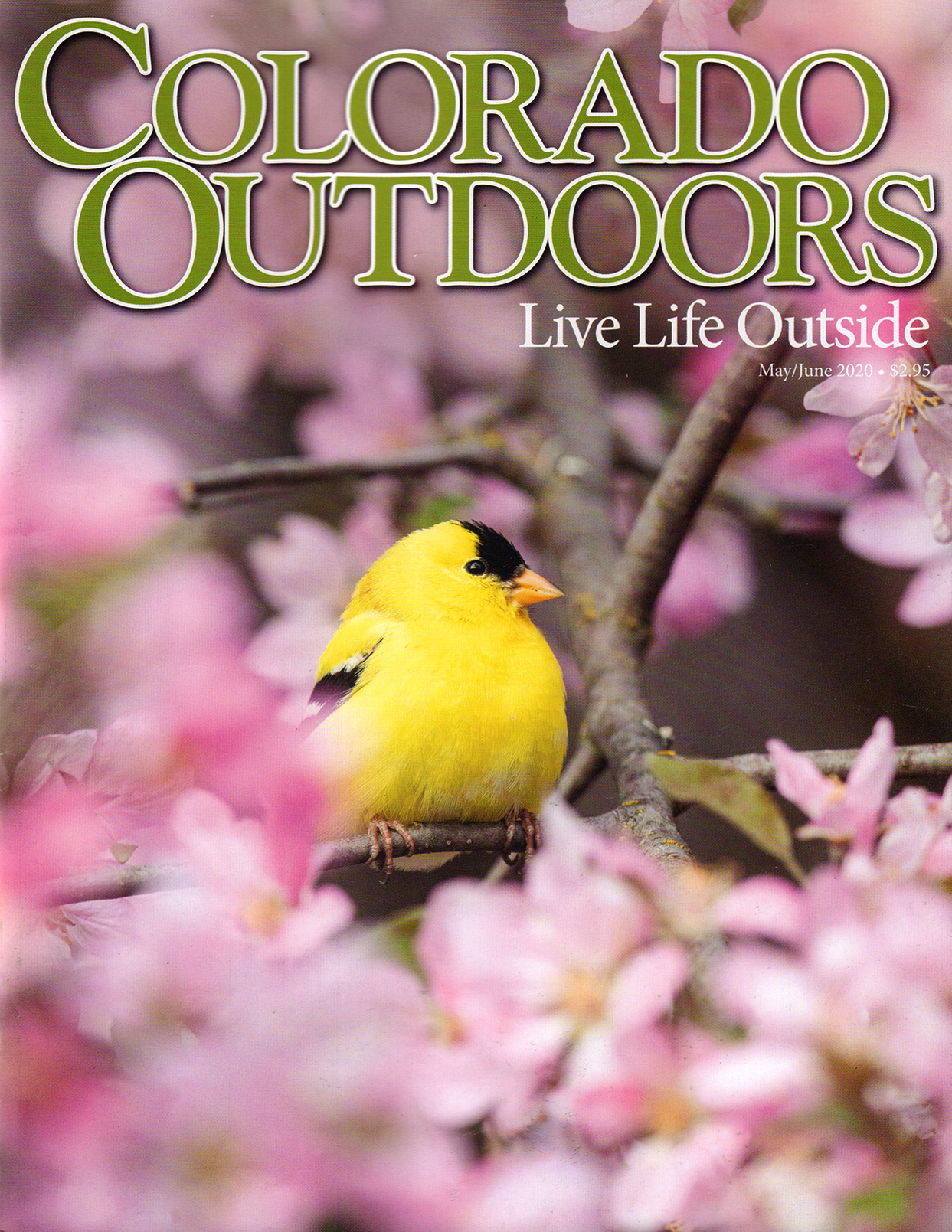 Colorado-Outdoors May 01, 2020 Issue Cover