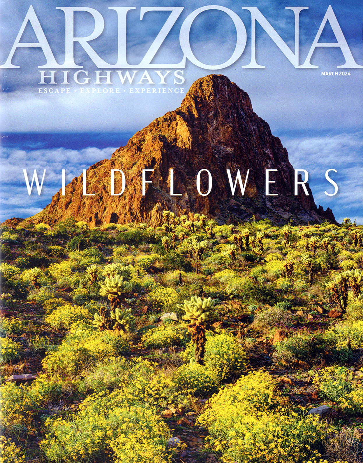 ARIZONA HIGHWAYS 1983年 11冊 アリゾナハイウェイ 洋書 ARIZONA HIGHWAYS 1983年 11冊 アリゾナハイウェイ 洋書 ARIZONA