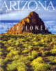 Arizona-Highways March 01, 2024 Issue Cover