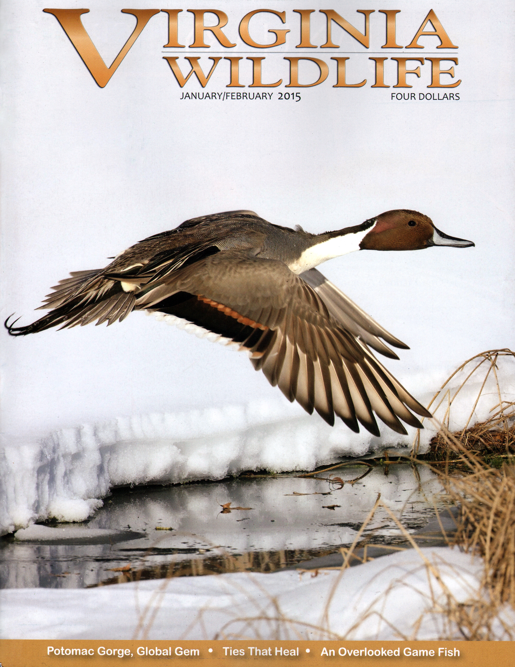 Virginia-Wildlife January 01, 2015 Issue Cover