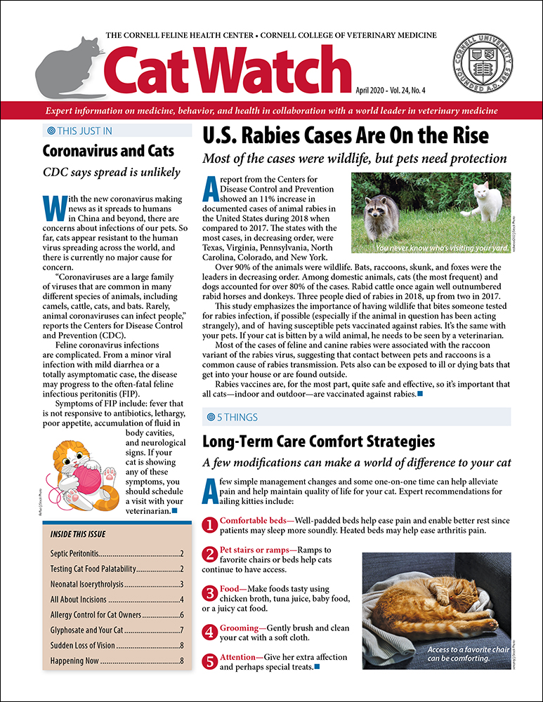 Catwatch April 01, 2020 Issue Cover