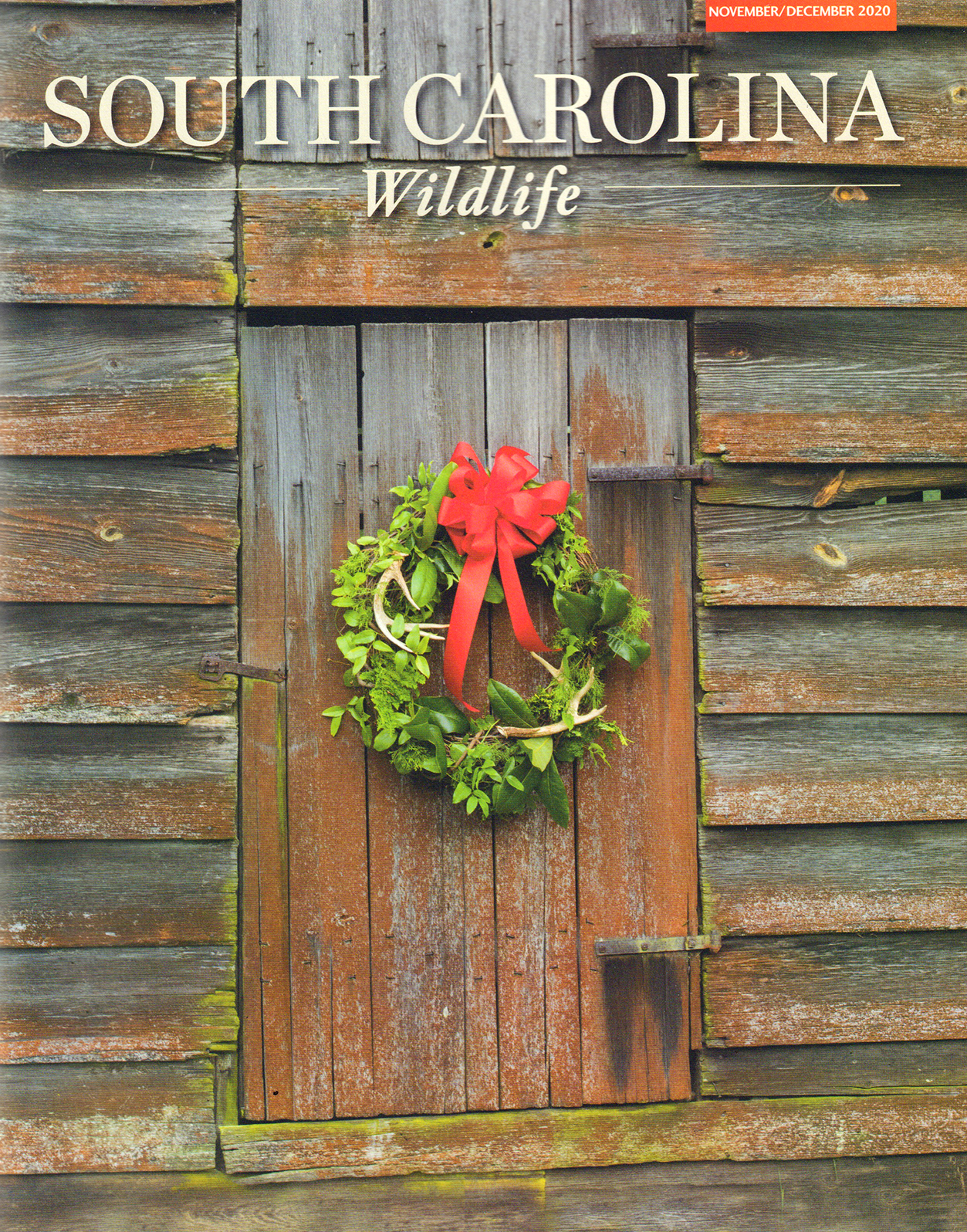 South-Carolina-Wildlife November 01, 2020 Issue Cover