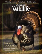 Wyoming-Wildlife May 01, 2014 Issue Cover