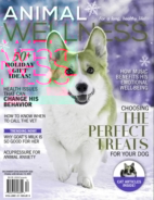 Animal-Wellness December 01, 2019 Issue Cover