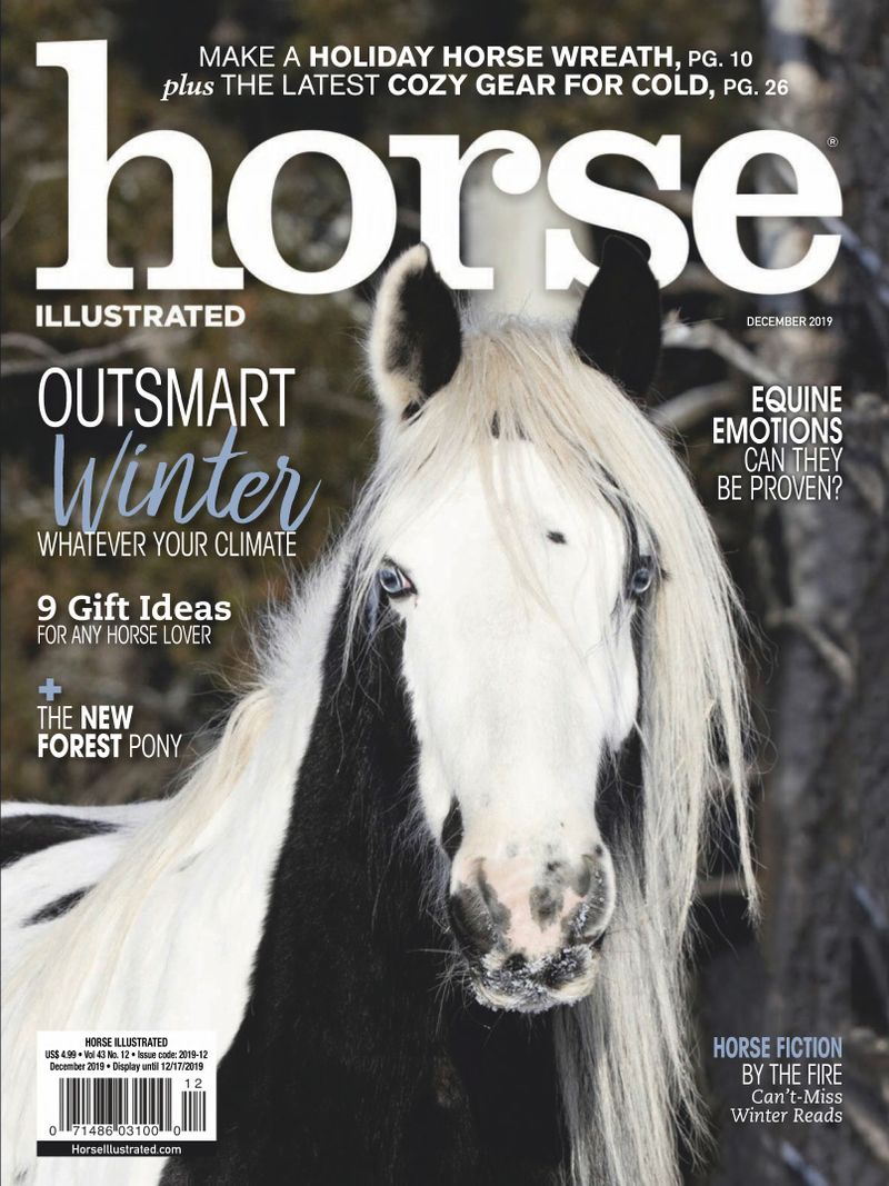 Horse-Illustrated December 01, 2019 Issue Cover