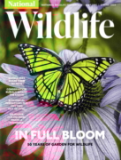 National Wildlife March 01, 2023 Issue Cover