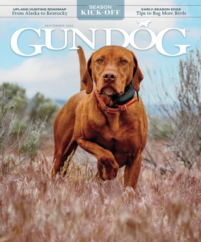 Gun-Dog September 01, 2022 Issue Cover