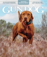 Gun-Dog September 01, 2022 Issue Cover