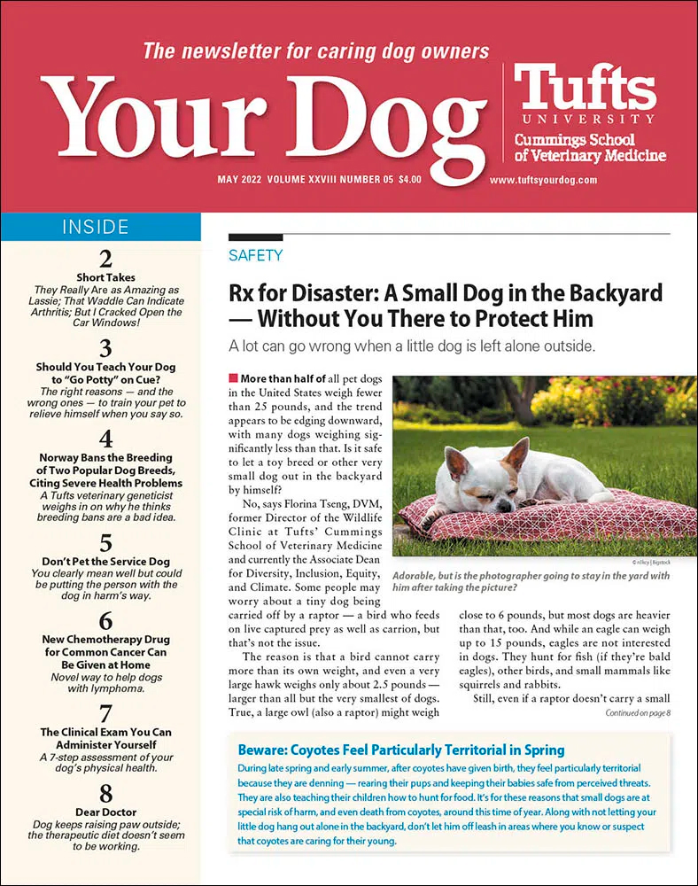 Your-Dog May 01, 2022 Issue Cover