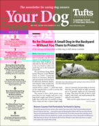 Your-Dog May 01, 2022 Issue Cover