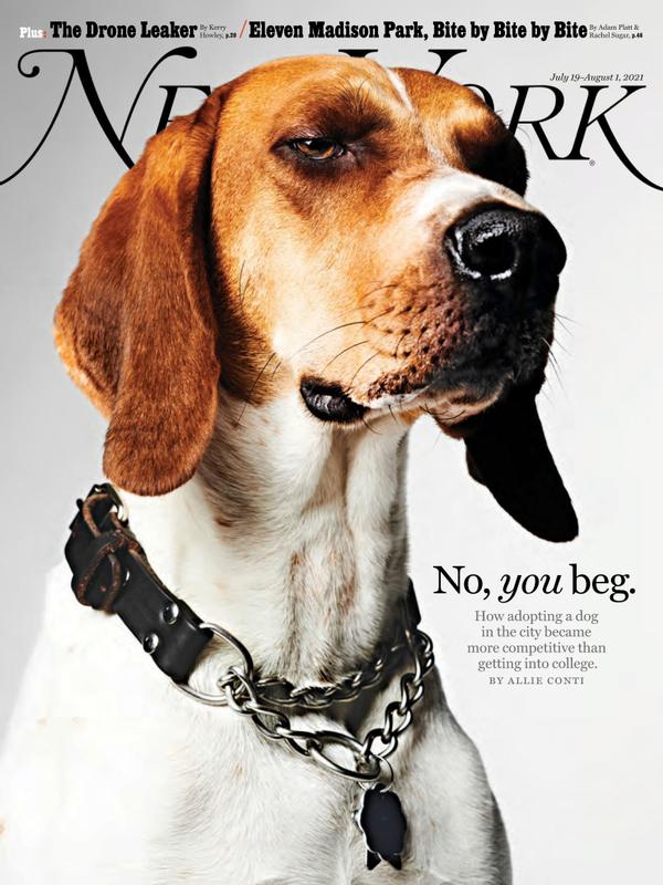 New-York-Magazine July 19, 2021 Issue Cover