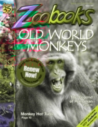 zoobooks February 01, 2016 Issue Cover