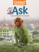 ask May 01, 2024 Issue Cover