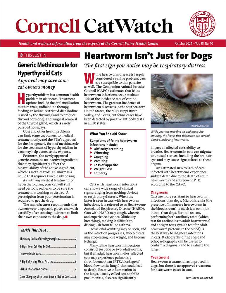 Catwatch October 01, 2024 Issue Cover