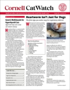 Catwatch October 01, 2024 Issue Cover