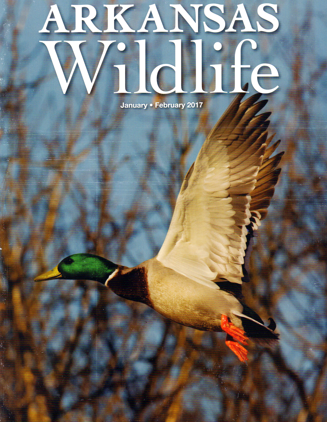 Arkansas-Wildlife January 01, 2017 Issue Cover