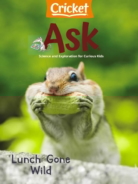 ask July 01, 2023 Issue Cover