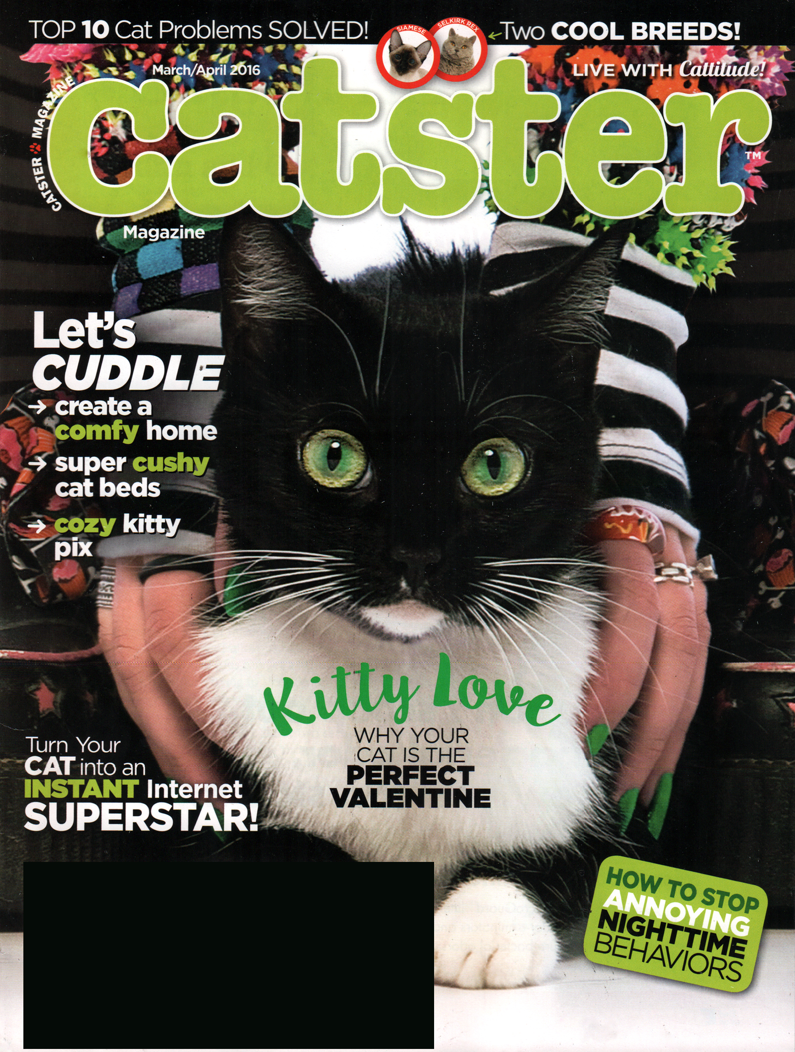 Catster March 01, 2016 Issue Cover
