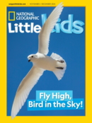 National Geographic Little Kids November 01, 2024 Issue Cover