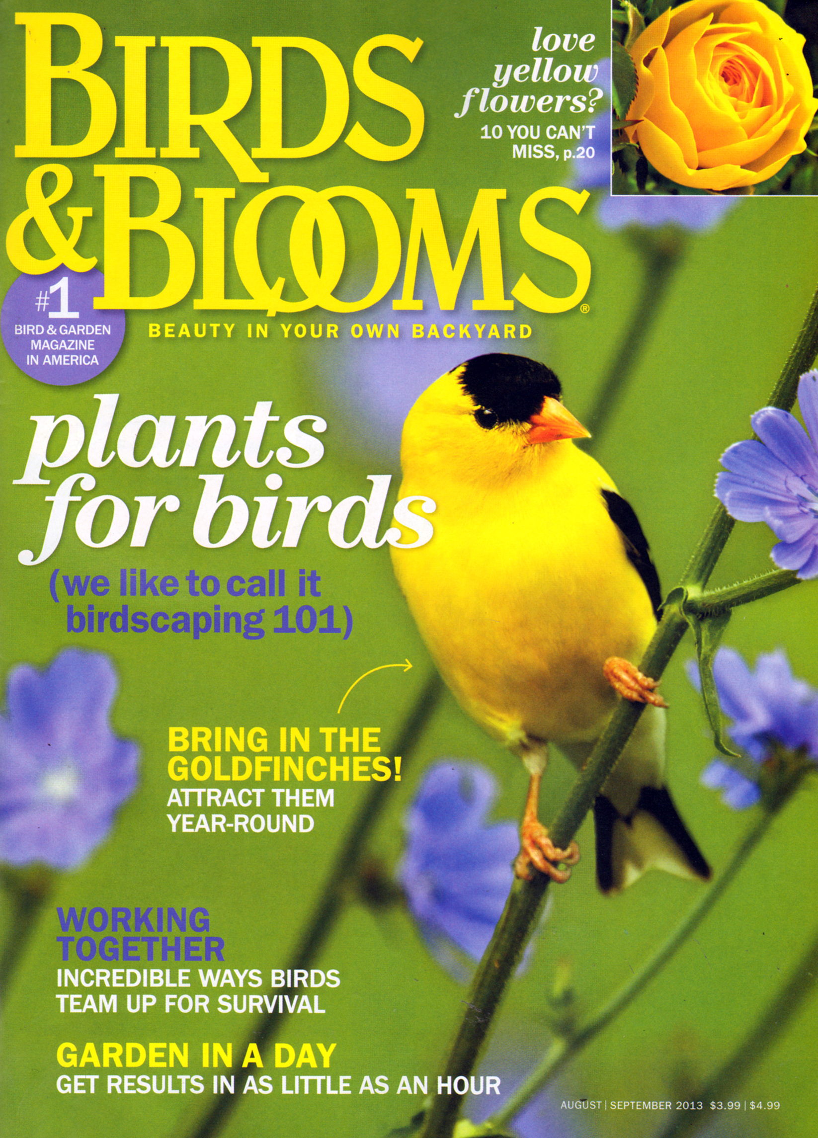 Birds-and-Blooms August 01, 2013 Issue Cover