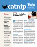 Catnip August 01, 2020 Issue Cover