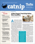 Catnip August 01, 2023 Issue Cover