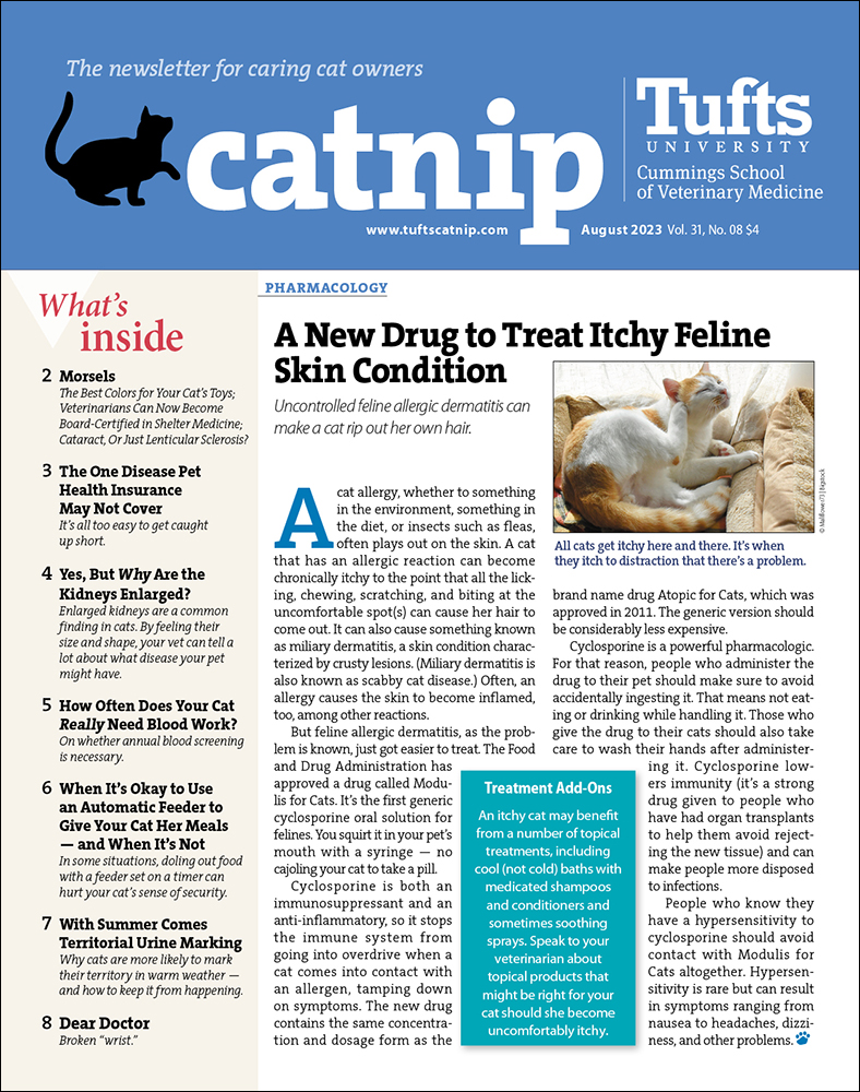 Catnip August 01, 2023 Issue Cover