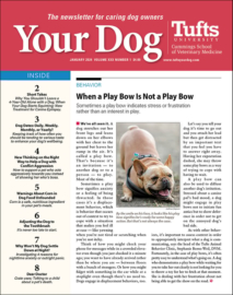 Your-Dog January 01, 2024 Issue Cover