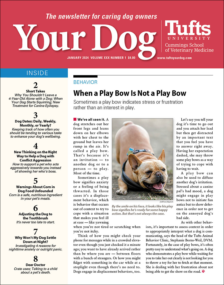 Your-Dog January 01, 2024 Issue Cover