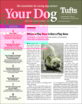 Your-Dog January 01, 2024 Issue Cover