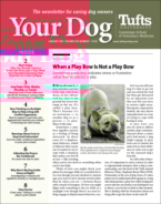 Your-Dog January 01, 2024 Issue Cover