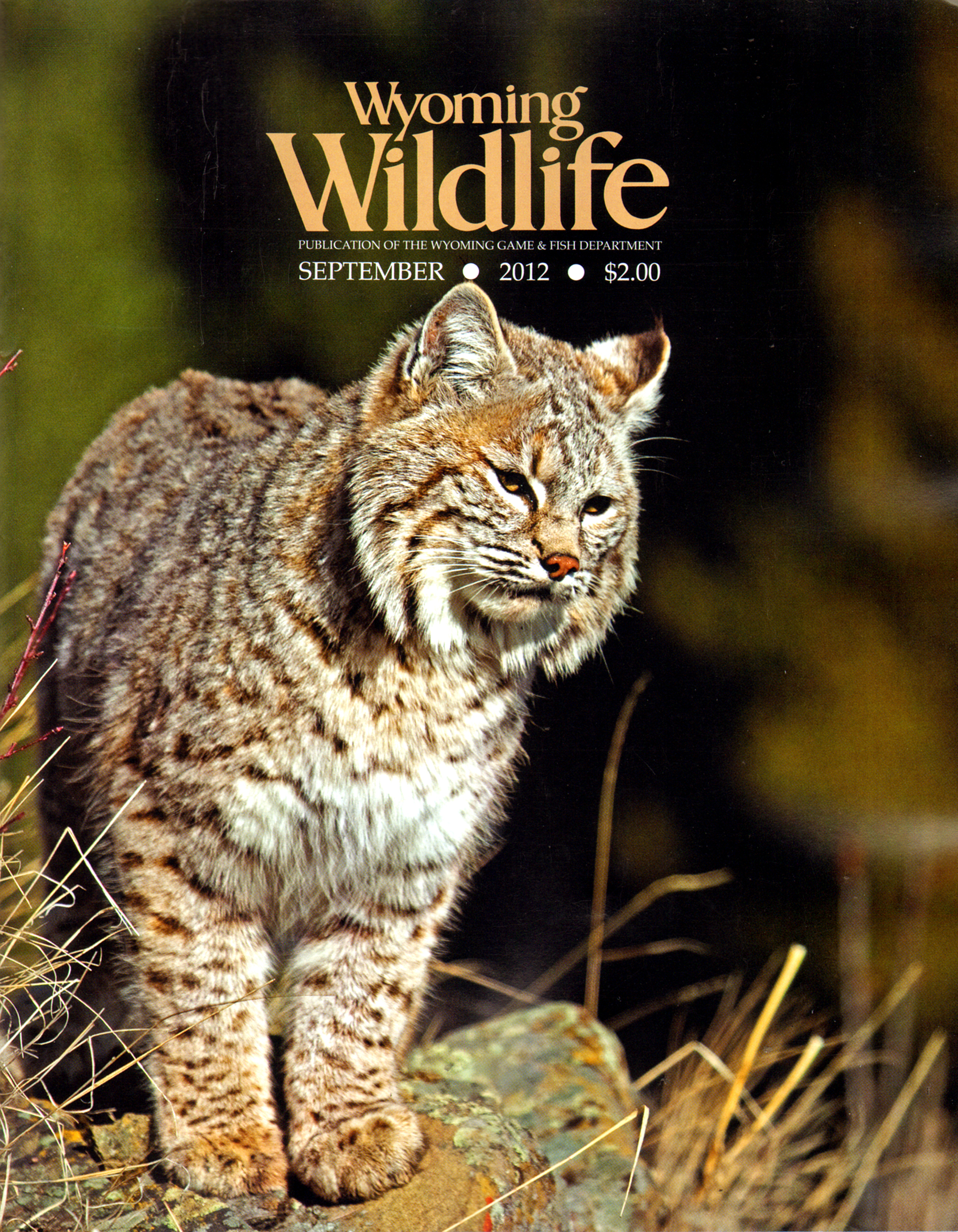 Wyoming-Wildlife September 01, 2012 Issue Cover