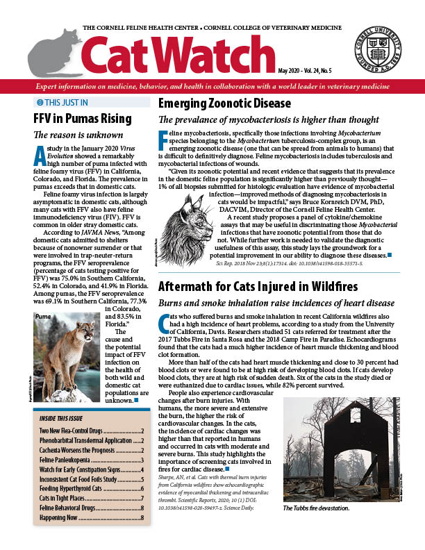 Catwatch May 01, 2020 Issue Cover