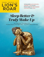 Lions-Roar March 01, 2023 Issue Cover
