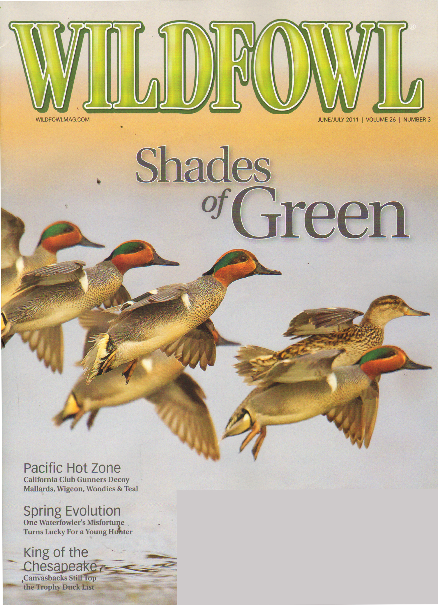 Wildfowl June 01, 2011 Issue Cover