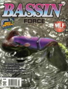 Bassin-News April 01, 2015 Issue Cover