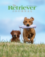 The-Retriever-Journal April 01, 2024 Issue Cover